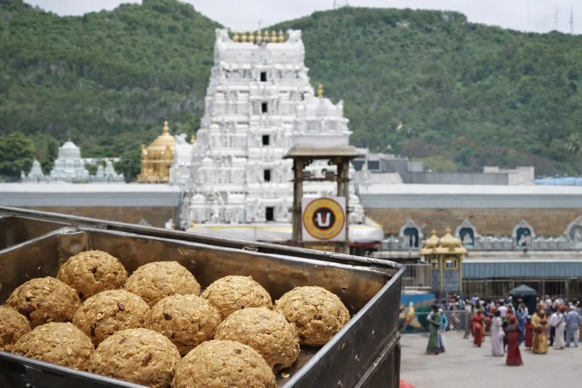 తిరుపతి లడ్డు నెయ్యి కల్తీ జరిగిందా ? ప్రభుత్వం ఏం చెబుతుంది ?