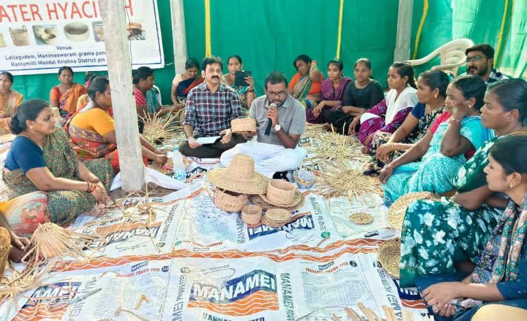 గుర్రపు డెక్క హస్తకళాకృతులకు మార్కెట్లో డిమాండ్ : జిల్లా కలెక్టర్ డీకే బాలాజీ