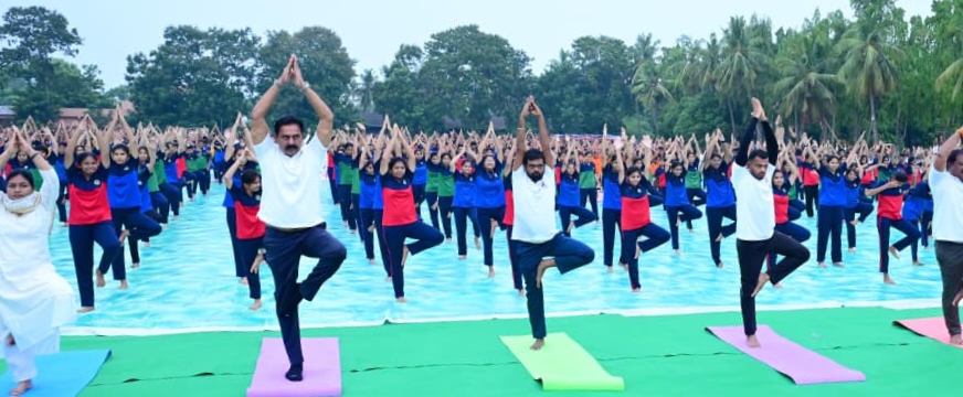 యోగాను దినచర్యలో భాగం చేసుకోవాలి – జిల్లా కలెక్టర్ డీకే బాలాజి