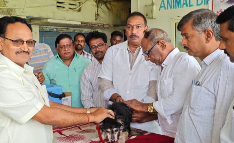 290 పెంపుడు జంతువులకు ఉచిత రేబీస్ టీకాలు..
