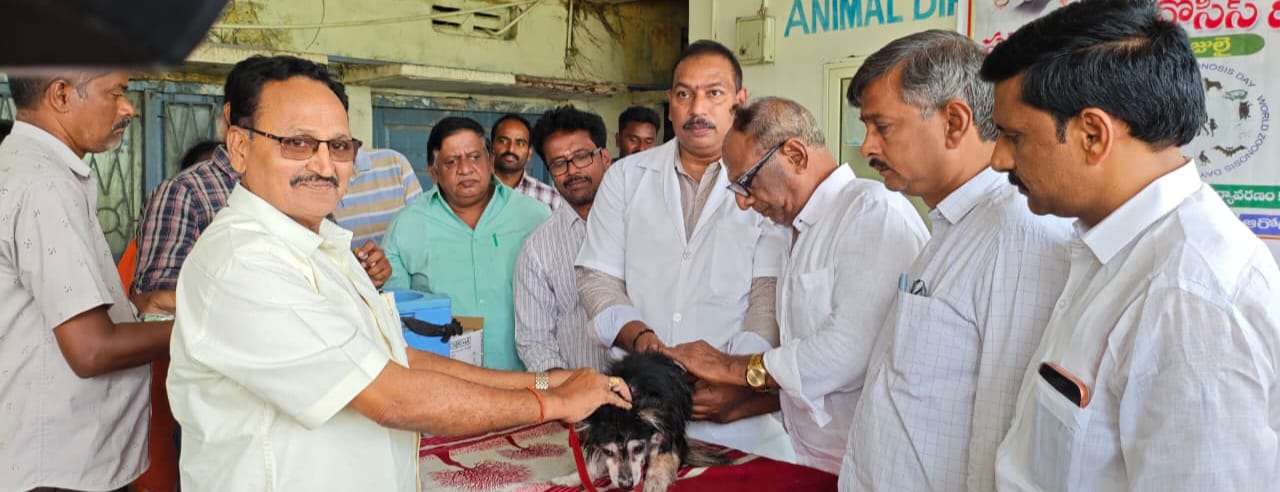 290 పెంపుడు జంతువులకు ఉచిత రేబీస్ టీకాలు..