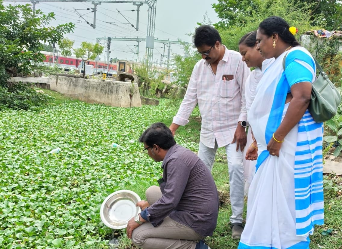 దోమల లార్వా నియంత్రణకు గంబూషియా చేపల విడుదల