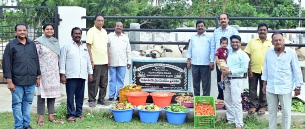 గో సంఘంలో వేమూరి ట్రస్ట్ సేవలు అభినందనీయం: లంకిశెట్టి బాలాజీ