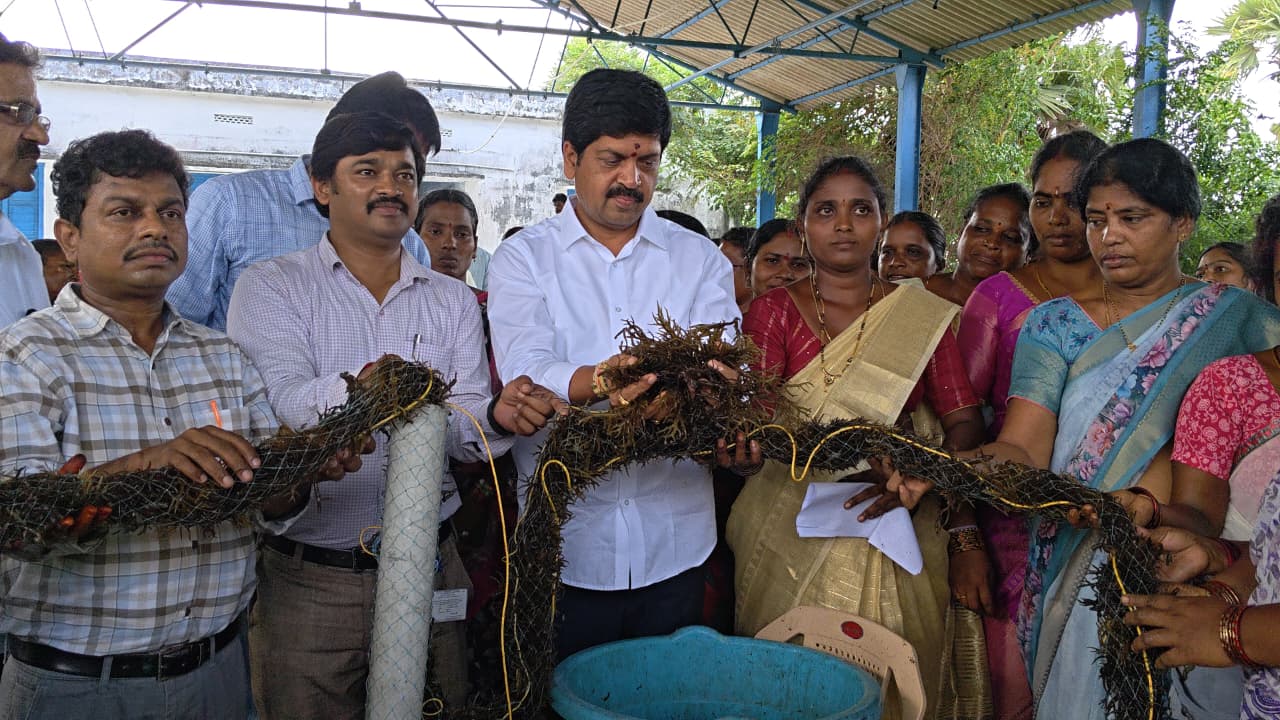 మహిళలకు స్వయం ఉపాధి కల్పించి అండగా నిలుస్తాం: మంత్రి కొల్లు రవీంద్ర